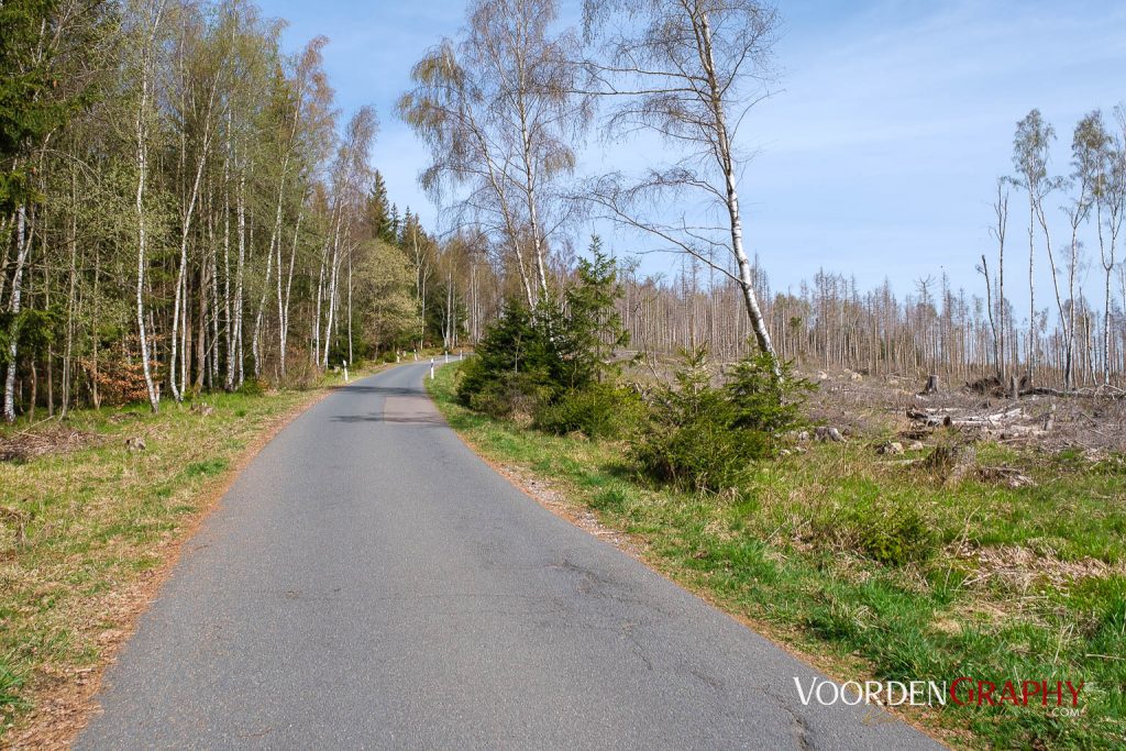 2024 Vom Harz Mountain Camp zum Brocken und Wurmberg