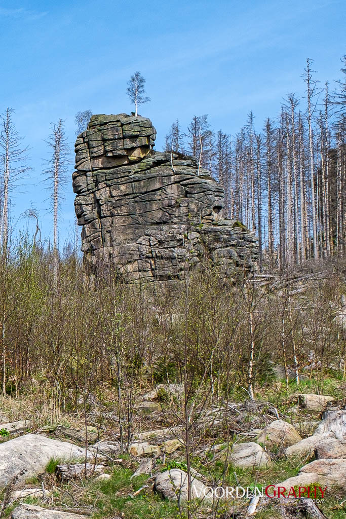 2024 Vom Harz Mountain Camp zum Brocken und Wurmberg