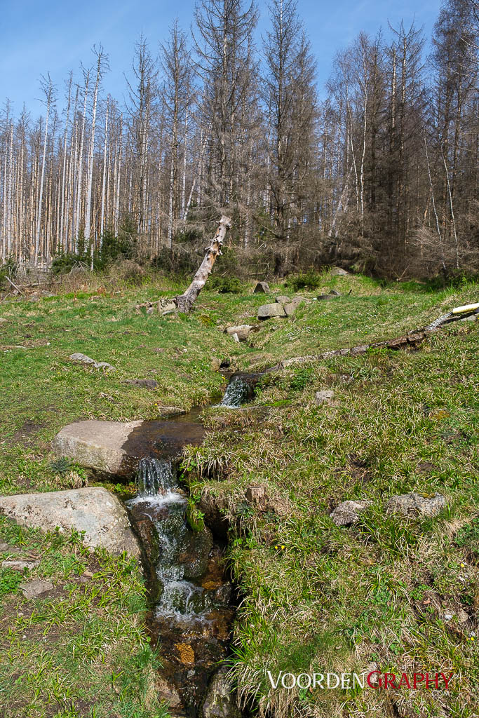 2024 Vom Harz Mountain Camp zum Brocken und Wurmberg