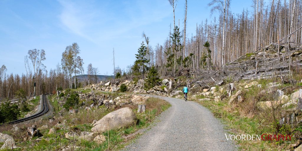 2024 Vom Harz Mountain Camp zum Brocken und Wurmberg