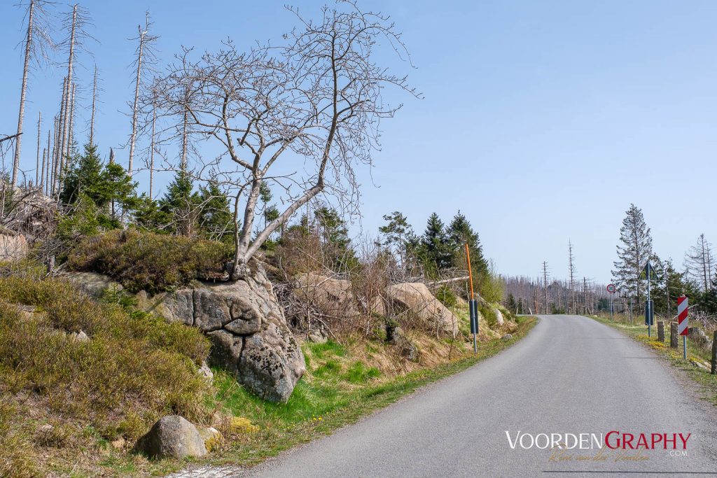 2024 Vom Harz Mountain Camp zum Brocken und Wurmberg