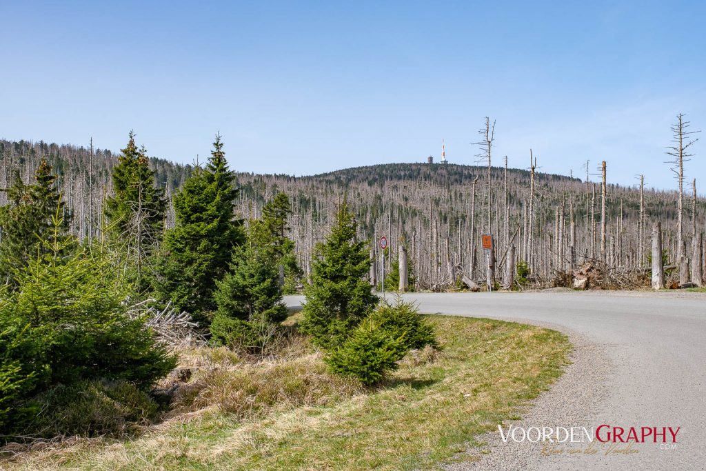 2024 Vom Harz Mountain Camp zum Brocken und Wurmberg
