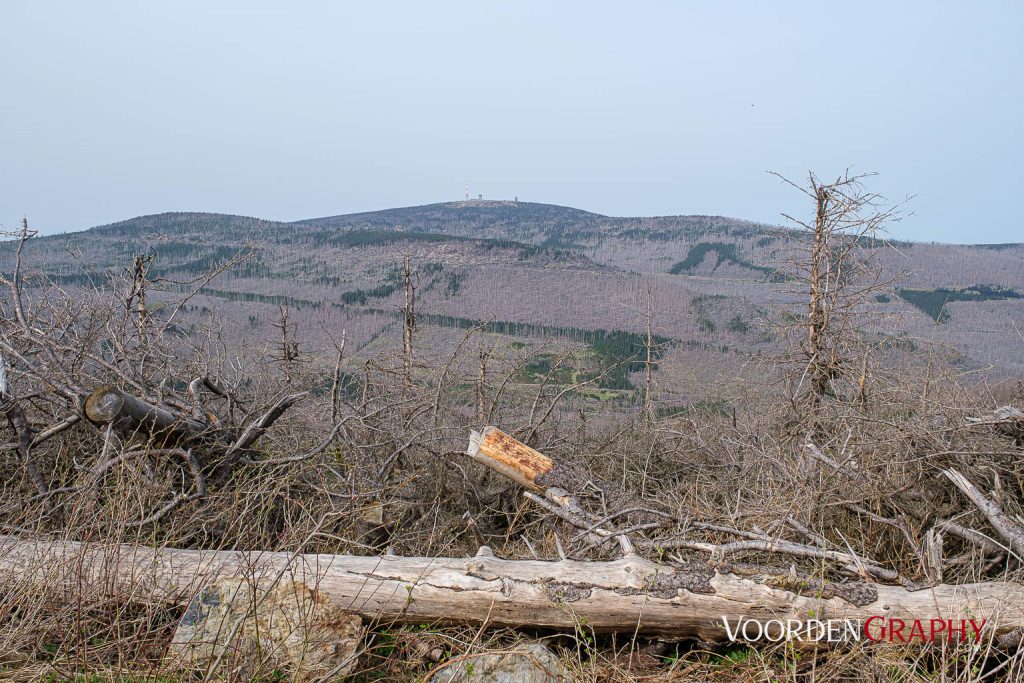2024 Vom Harz Mountain Camp zum Brocken und Wurmberg