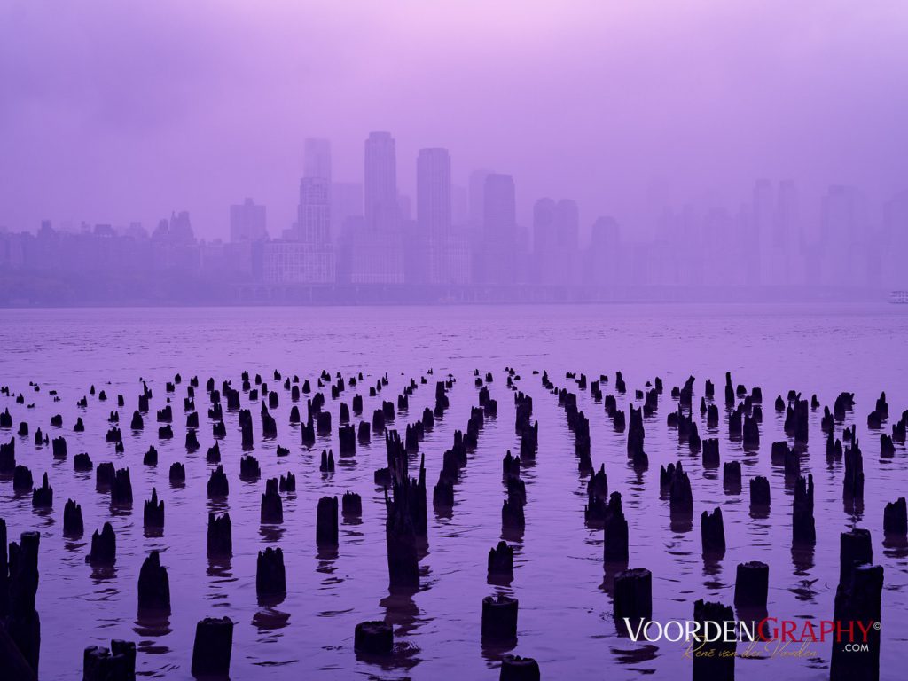 2024 New York