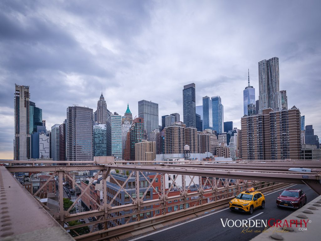 2024 New York