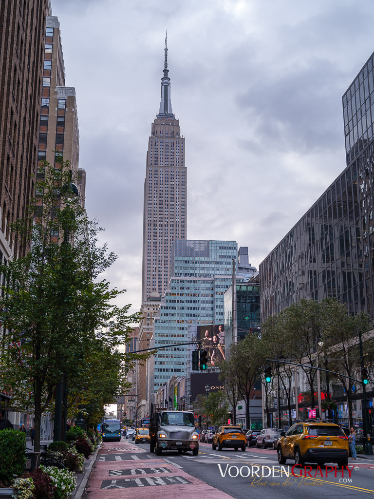 2024 New York