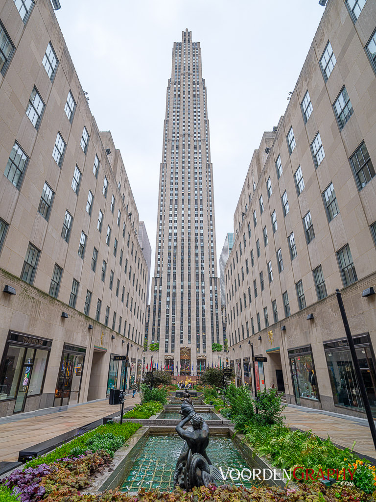 2024 New York