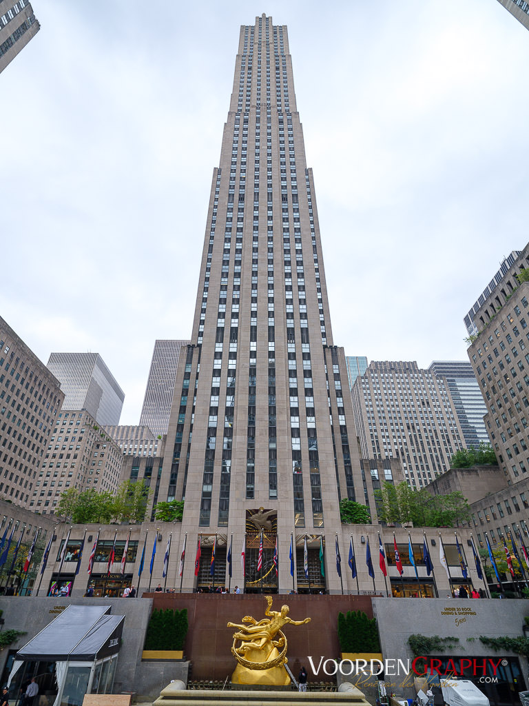 2024 New York