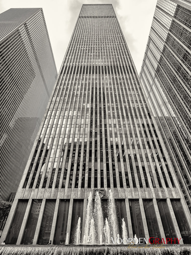 2024 New York