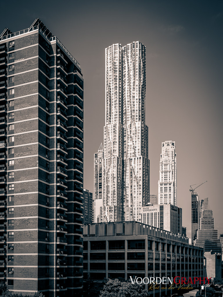2024 New York