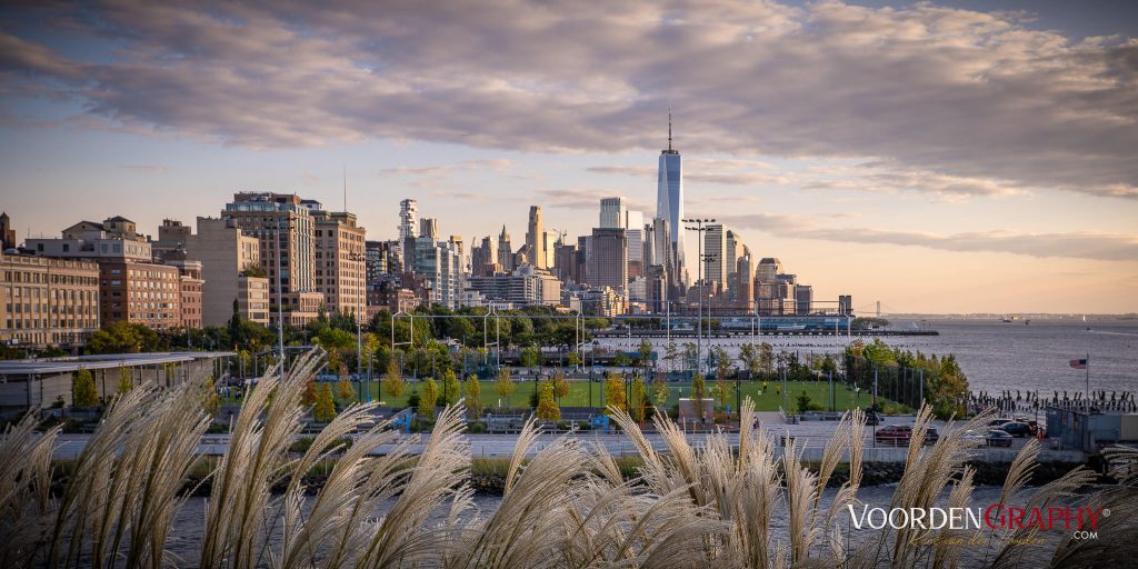 2024 New York
