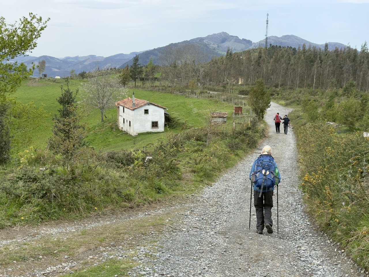 Am Camino de Norte Richtung Markina-Xemein