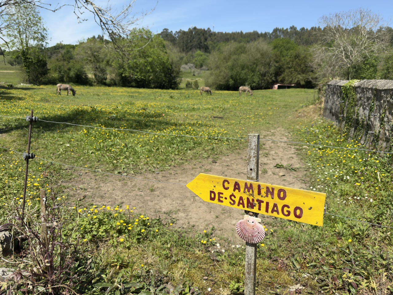 Am Camino del Norte