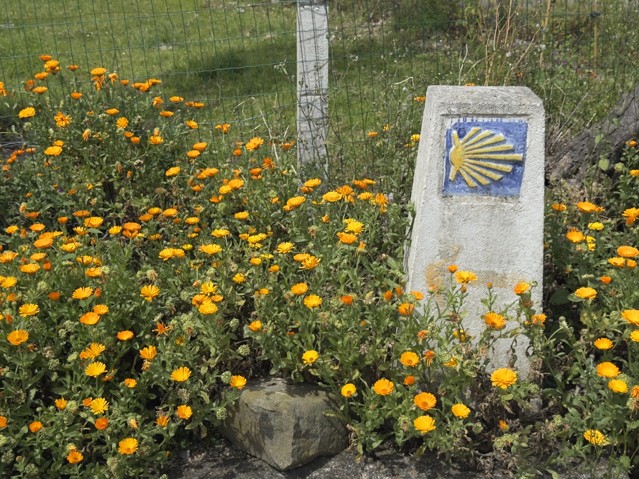 Auf dem Camino del Norte